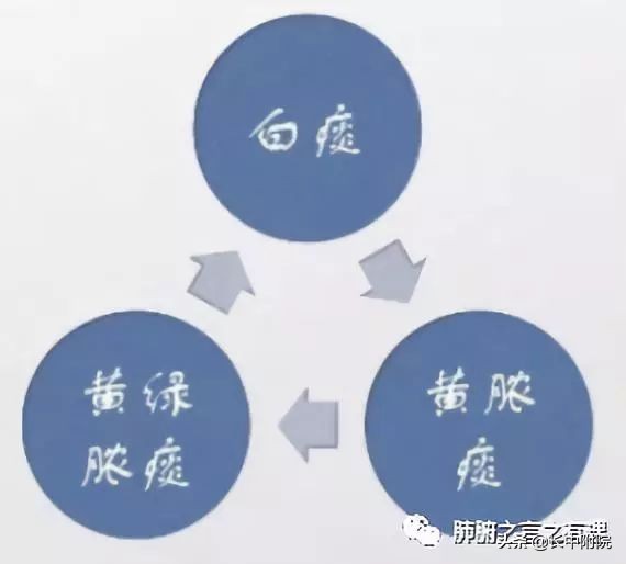 鱼腥草治支气管扩张,支气管扩张科普论文