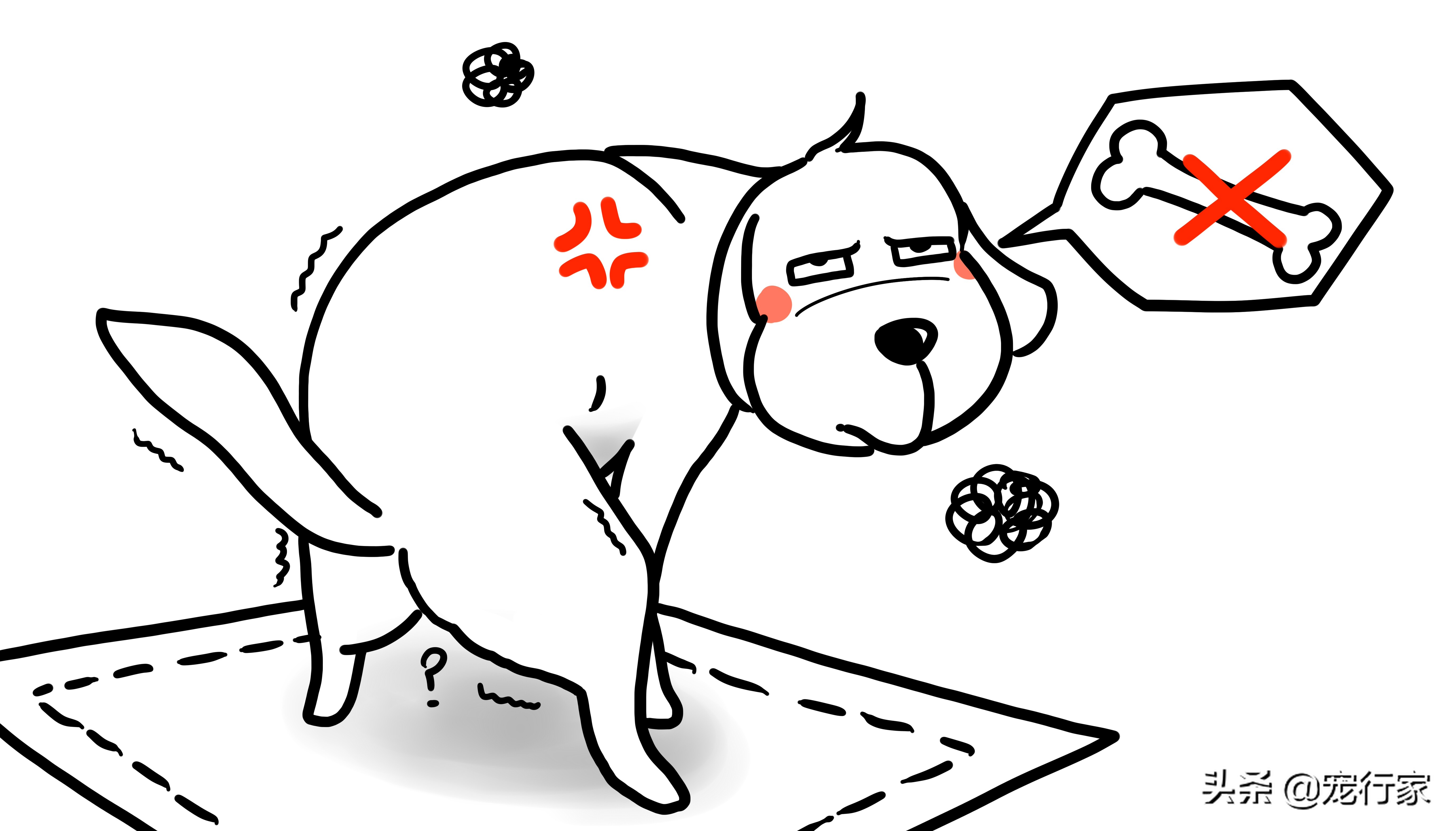 狗狗啃鸡骨头了怎么办,狗狗卡骨头解决方法