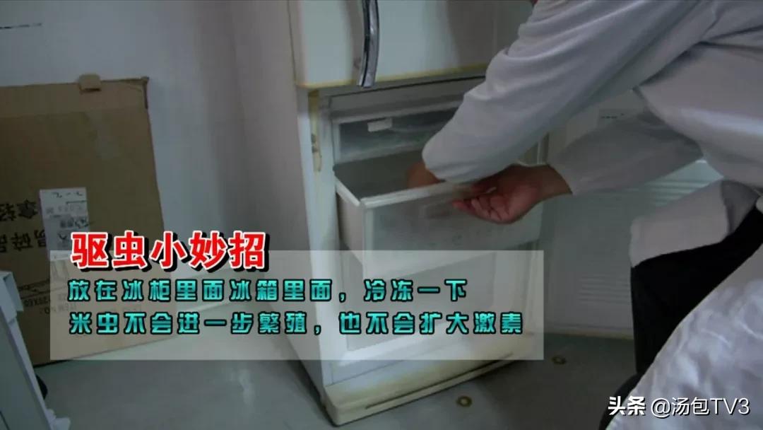 大米生虫子还能吃吗,大米生虫子还能炒吗