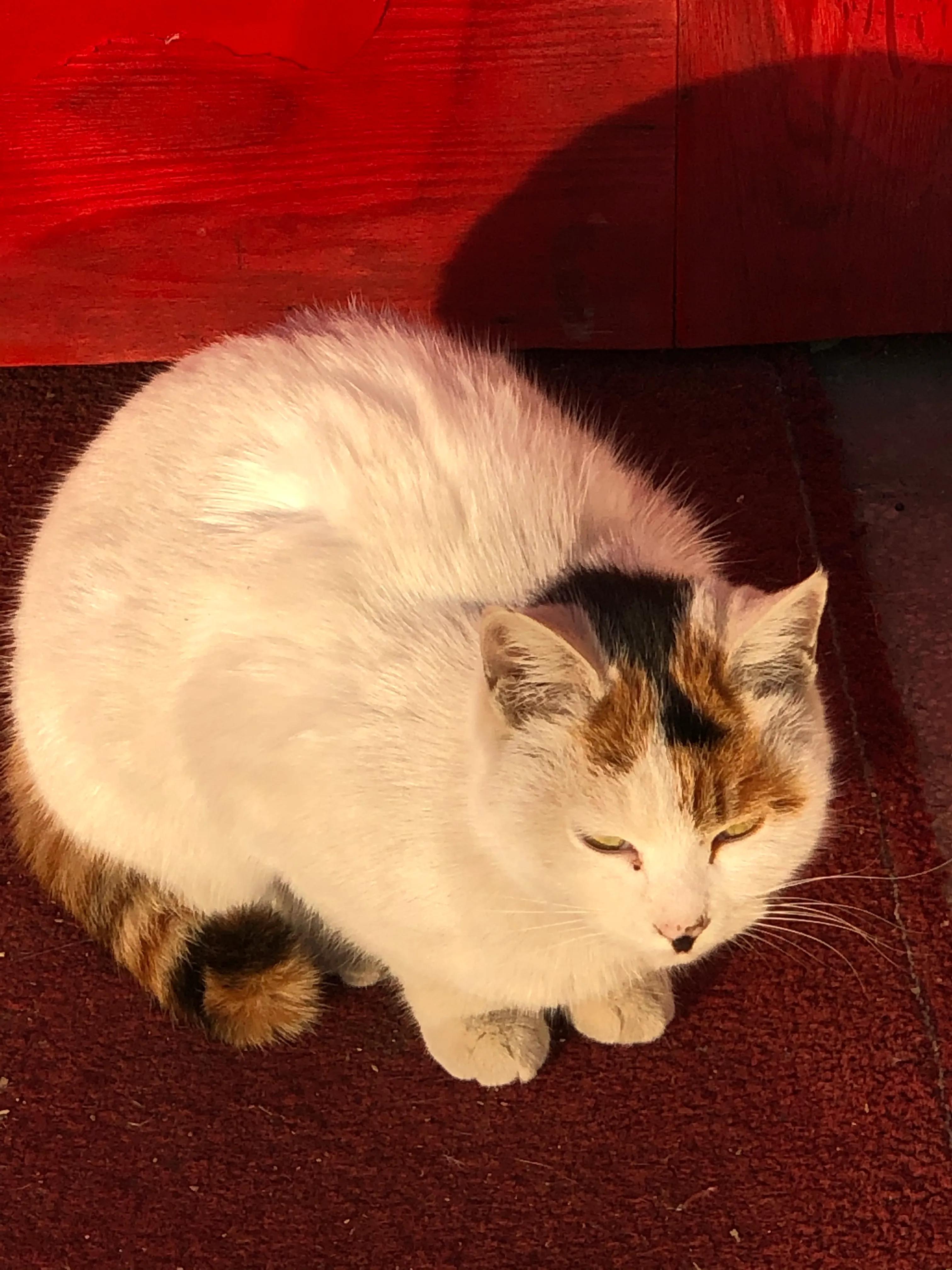 平顶山河滨公园旅游攻略,平顶山森林公园游记