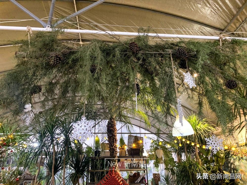 南昌花市有哪些地方,南昌花市批发市场