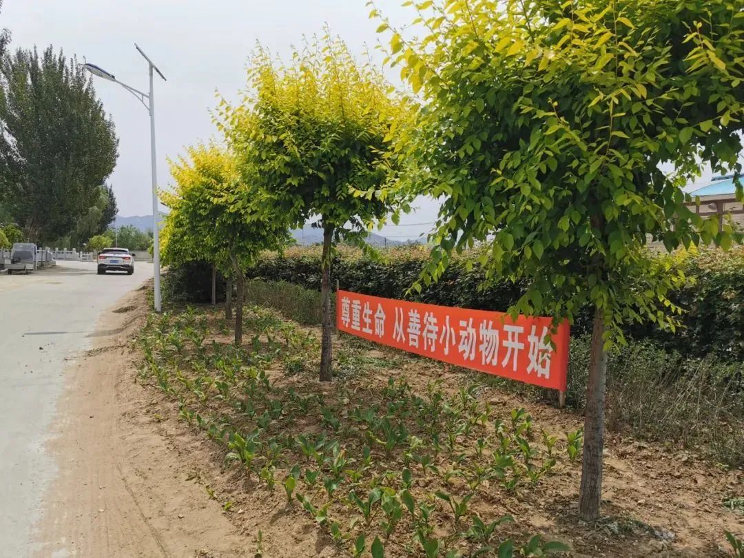 营口市鲅鱼圈旅游攻略,营口渔村旅游攻略