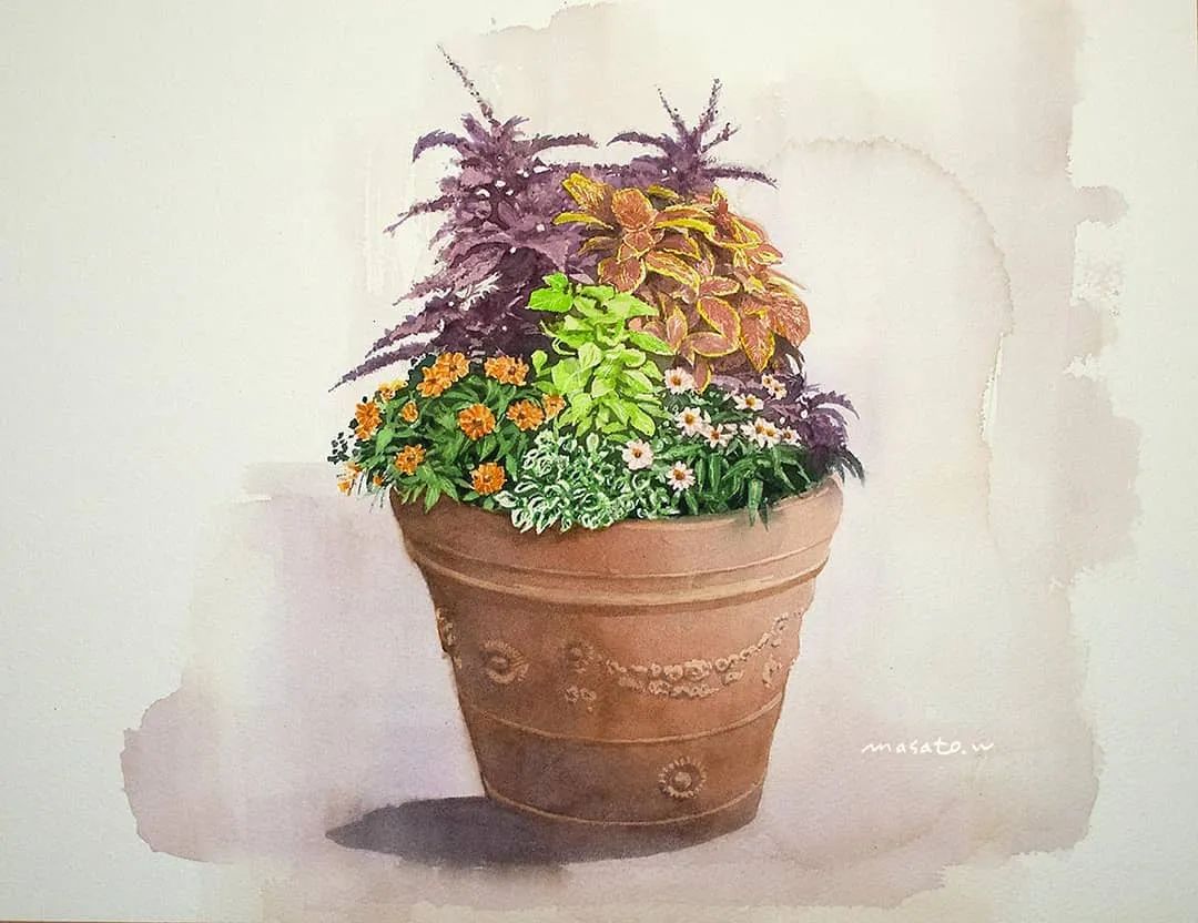 水彩大师笔下的花卉,简单唯美的水彩花卉