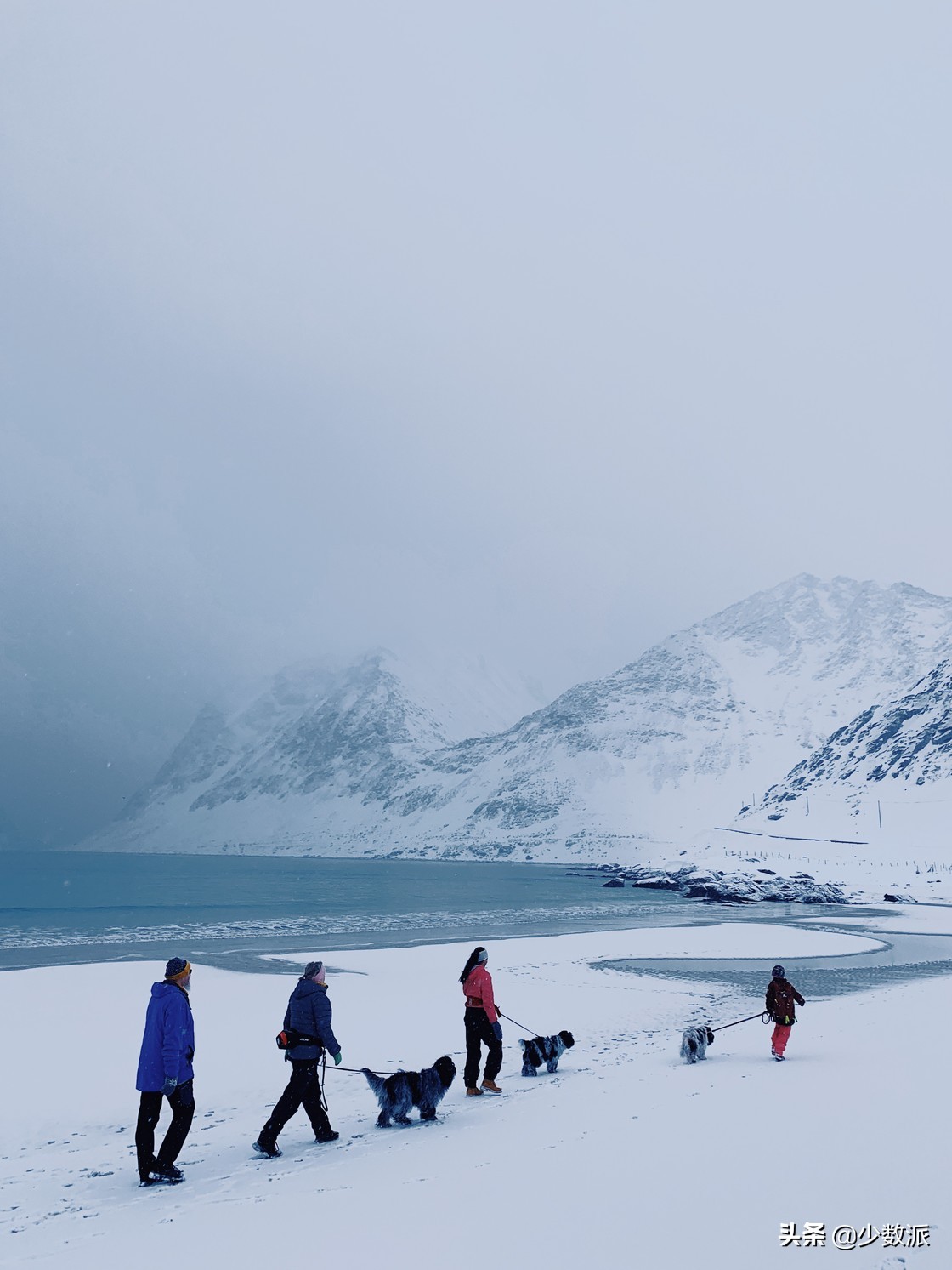 新手如何学会用苹果手机拍好照片,如何拍100张照片苹果
