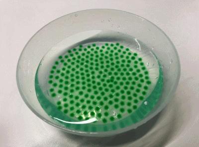 月销10000+，17个堪比艺术大片的彩虹实验，在家就能做