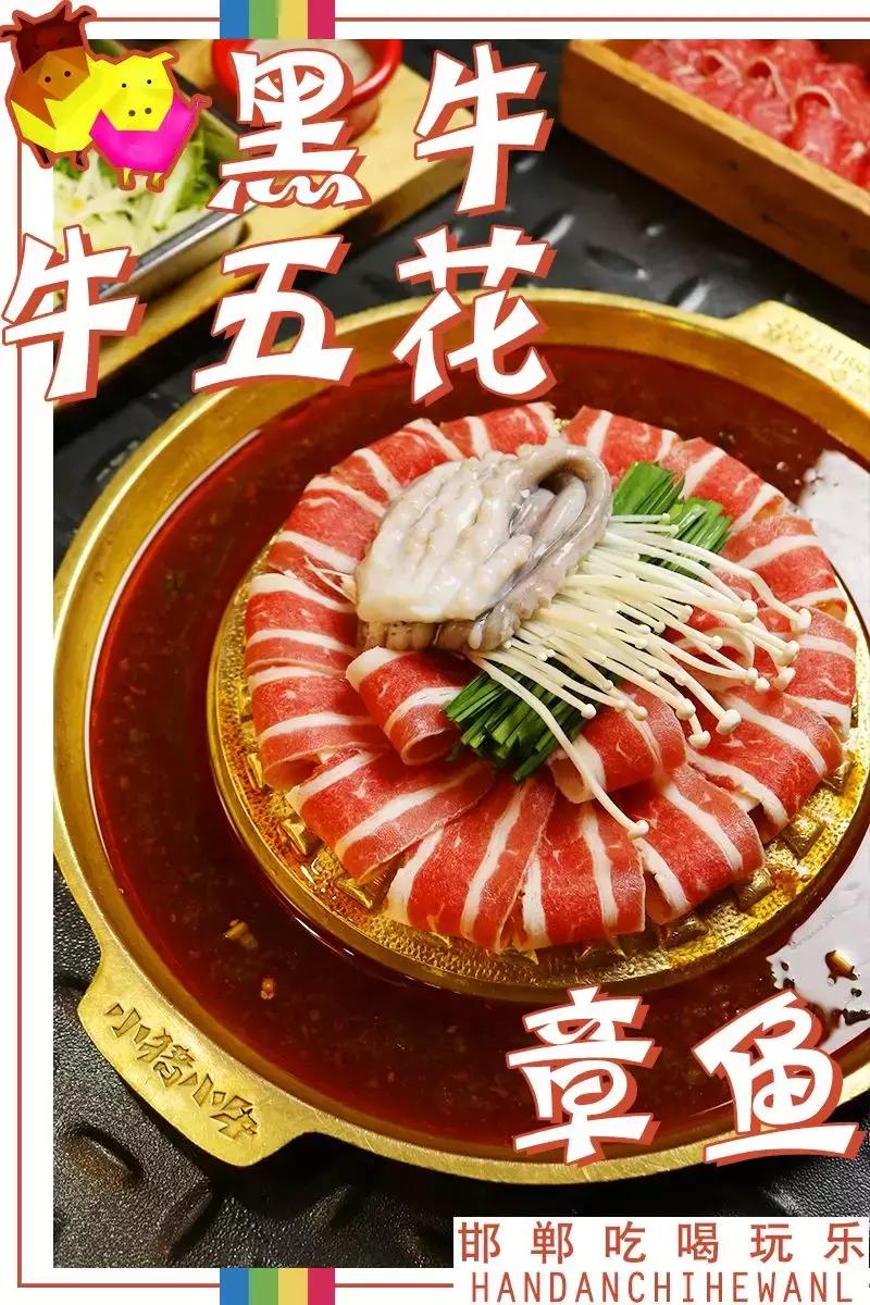 小猪小牛吃火锅,小猪小牛最新视频