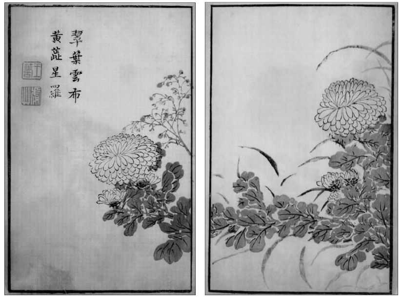 国画菊花的简单画法步骤图片,国画入门零基础自学画菊花