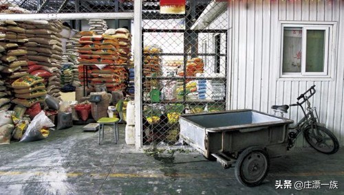 五常大米断货小视频,正宗五常大米卖多少钱一斤