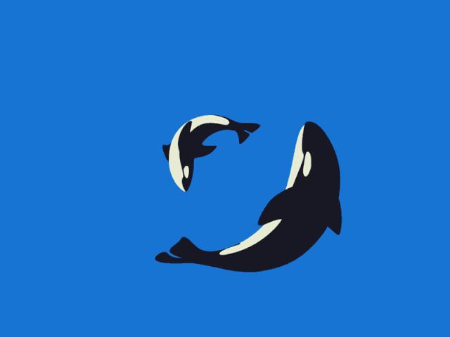 磁场安培力解题方法,物理磁场安培力作用下的平衡问题