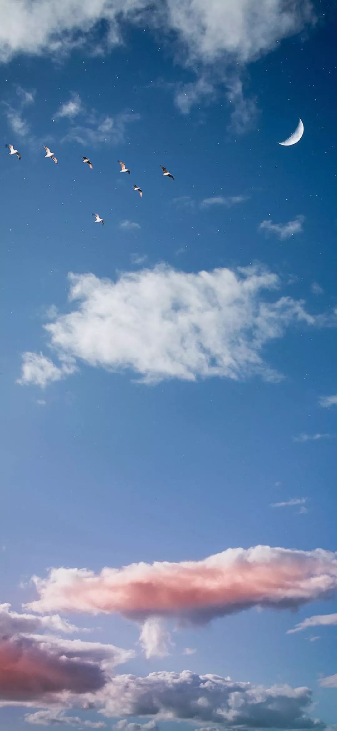 周杰伦图片高清壁纸,一组巨好看高清全面屏壁纸