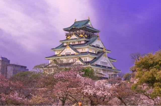 去日本旅游必买的东西是什么牌子,日本旅游购买什么刮胡刀