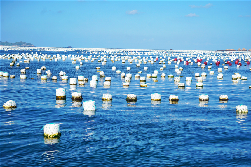 嵊泗东海渔村看日出攻略,嵊泗列岛纯海慢生活三日游