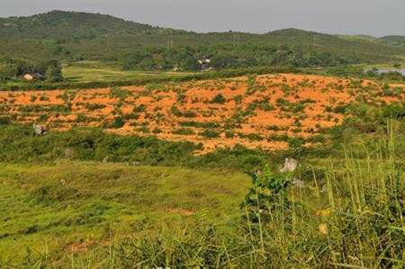 农村现在大面积的地天荒了怎么办,农村土地干旱怎么解决