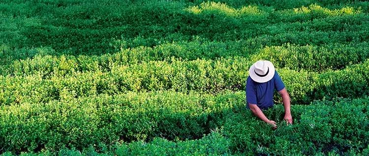 办健身卡不需要私教自己练可以吗,办健身卡如何健身