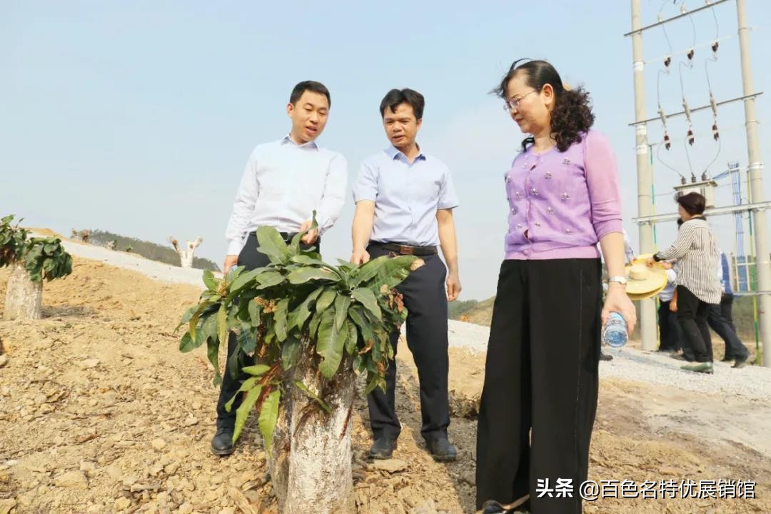 百色市益众公司,百色市益众农业科技有限公司