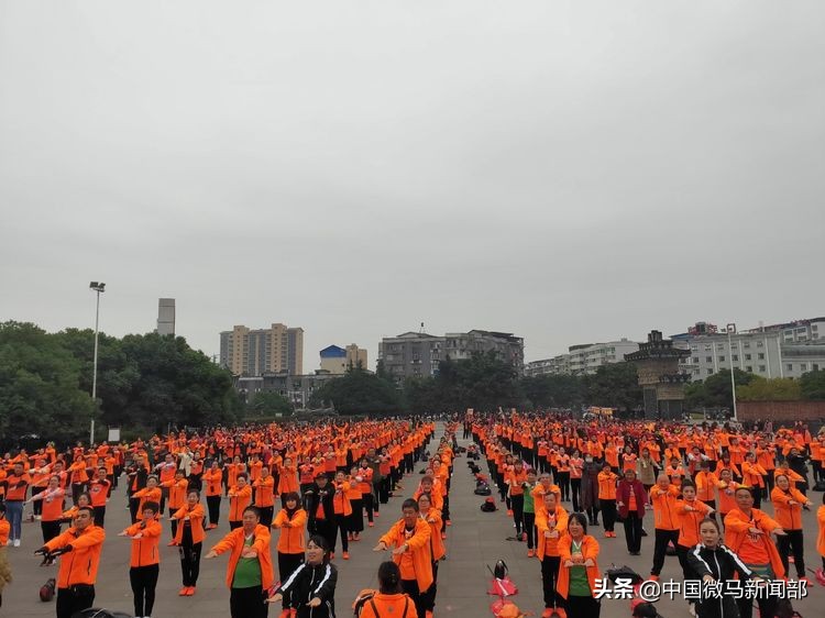 相约东莞长安莲花湖畔,相约在莲花湖风景区