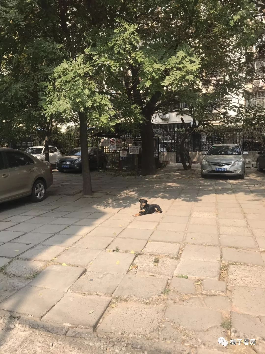 北京大兴旧宫镇清和园房价,多少路公交车到旧宫清和园