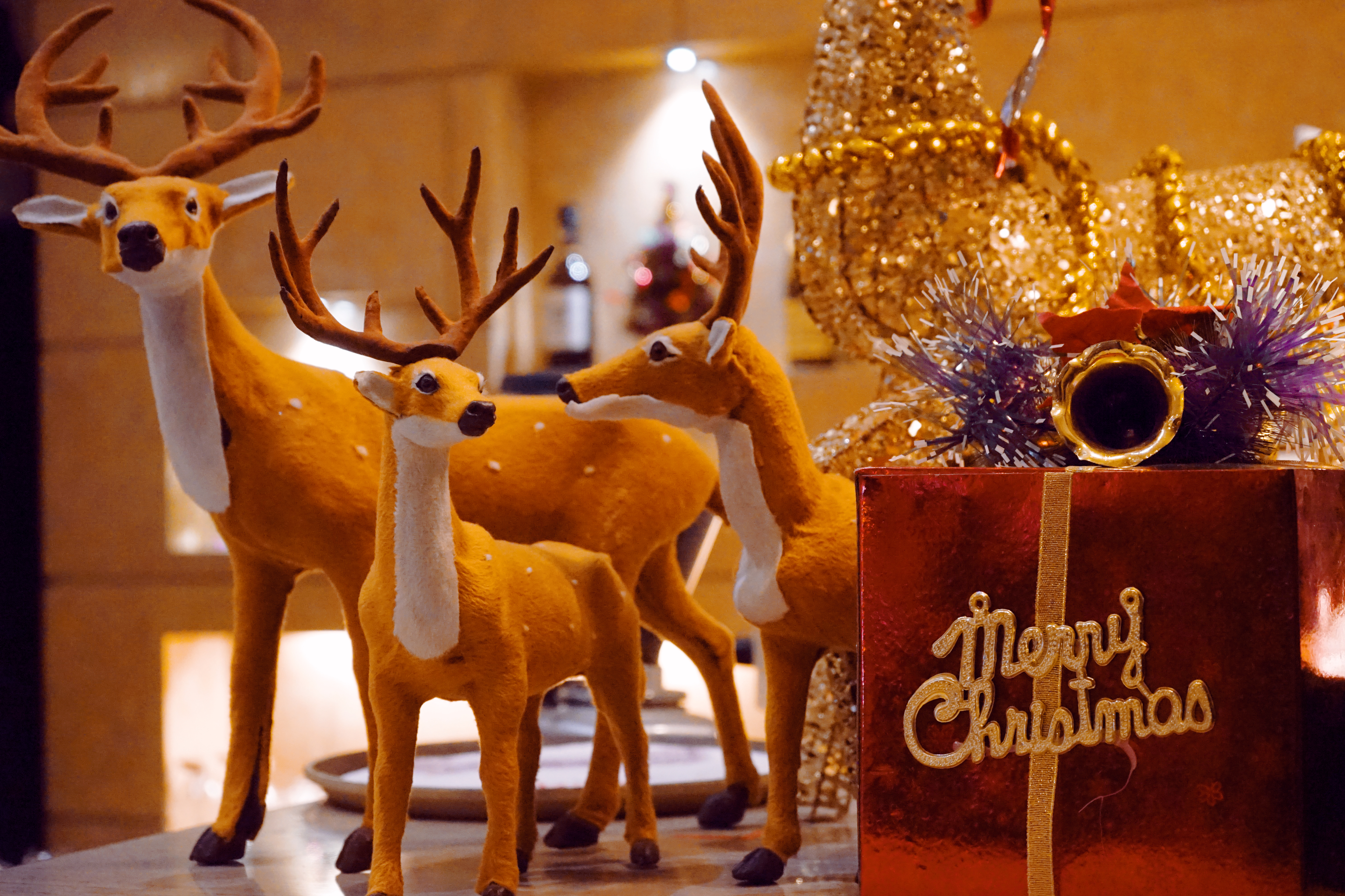 良渚君澜双人温泉,冬日暖阳泡温泉