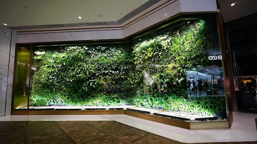 香港最大商场购物实拍视频,香港顶级商场视频