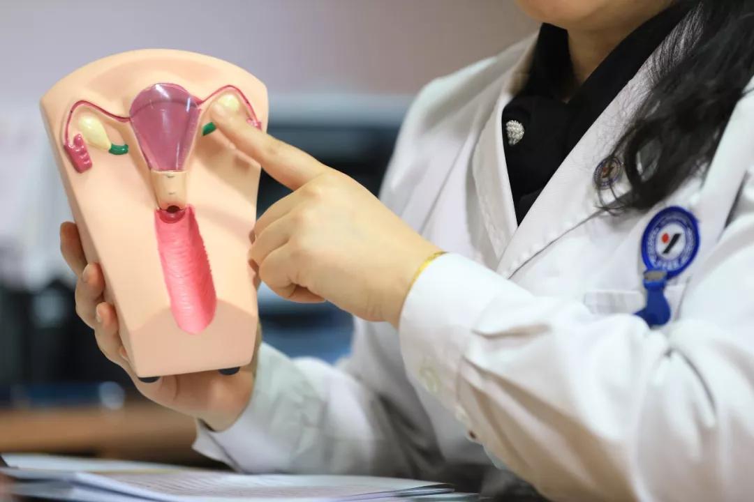 多囊卵巢综合征绝经后,多囊卵巢综合征促排卵