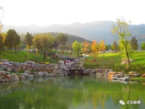 画说回龙观,北京最漂亮的森林公园