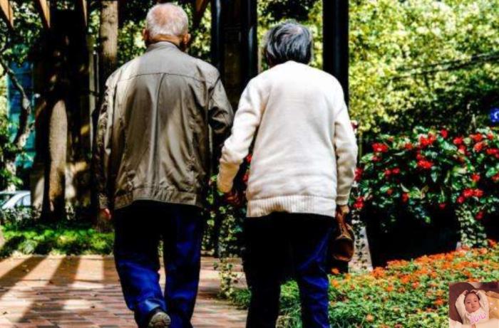 不要孩子的丁克家族如何养老,丁克家庭老年生活如何度过