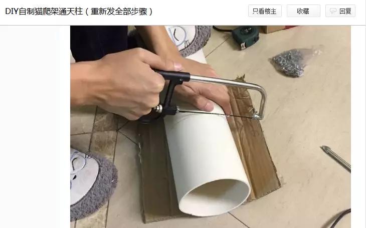 最实用猫抓板,如何挑选猫抓板