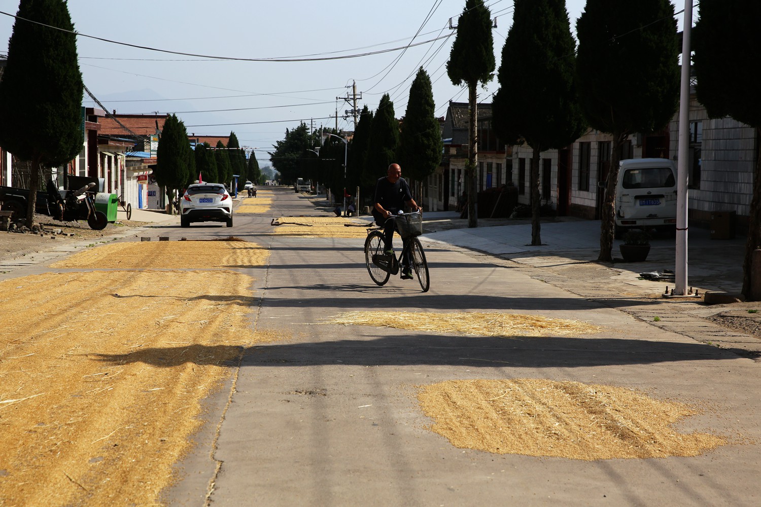 割麦神器大全视频,农民割麦用什么神器