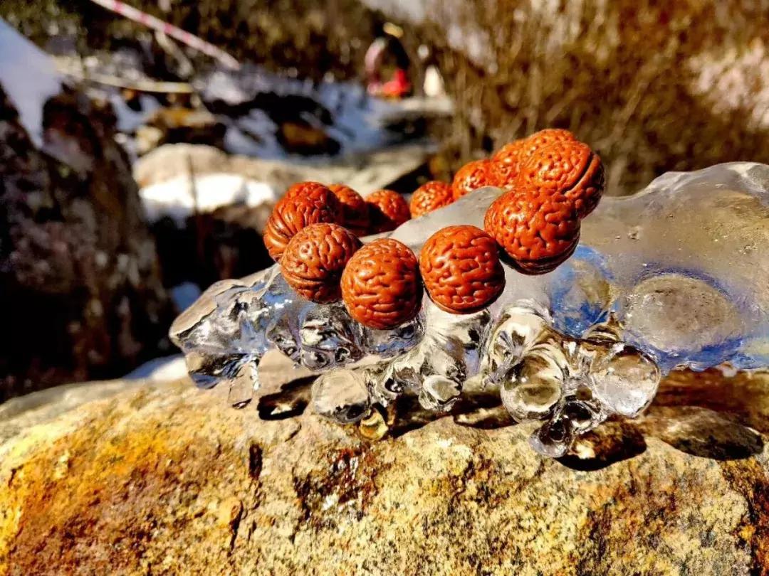 桃核怎么挑选才是正确的,桃核光珠怎么挑选才是正确的