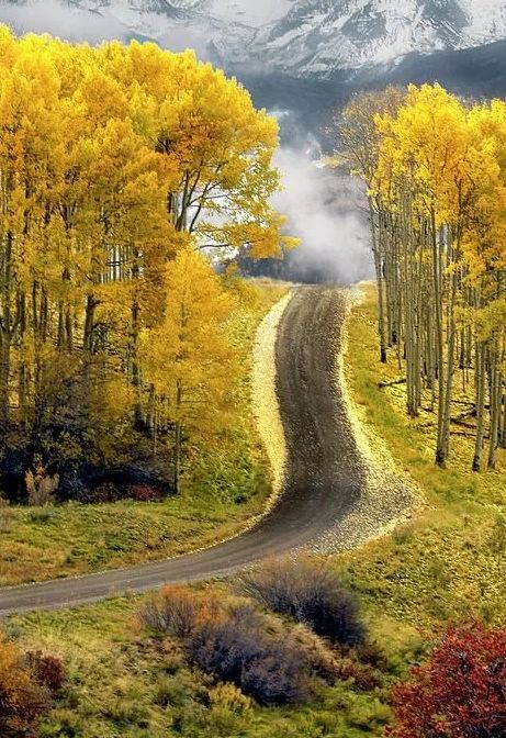 「诗词鉴赏」元曲中的秋天，另一番美丽