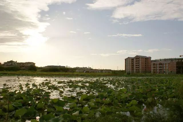 武汉最难进的9所高中,武汉最难进的学校