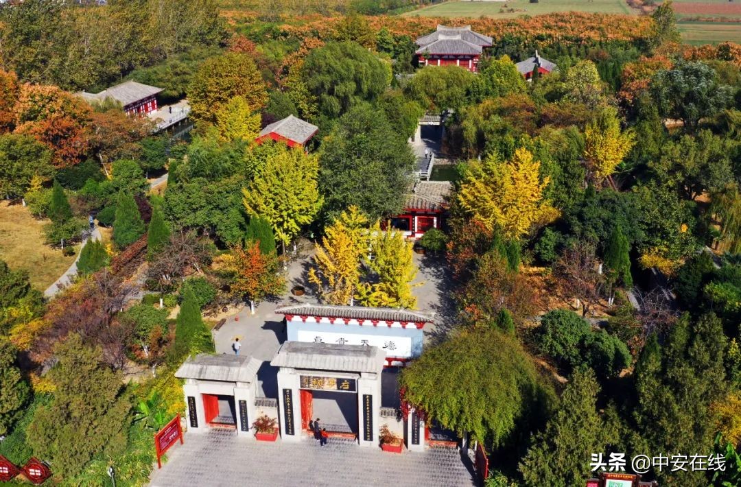 一鸣惊人宣城,一鸣惊人的最佳方法