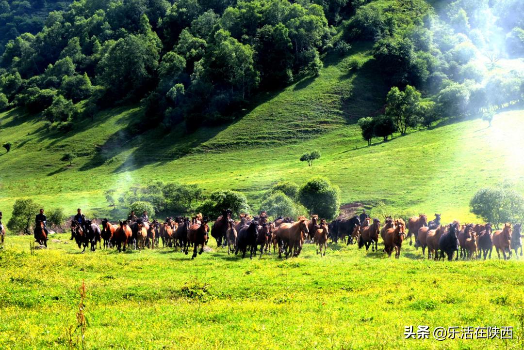 宝鸡周边夏日避暑绝佳去处,避暑胜地的好地方宝鸡