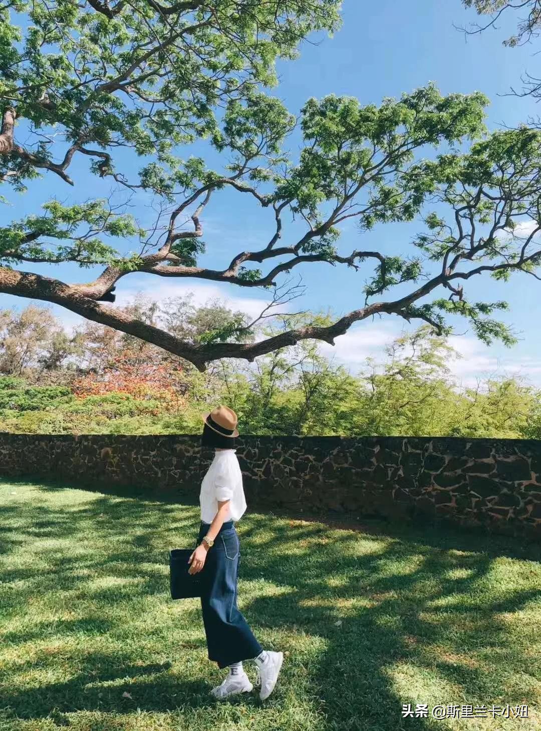 斯里兰卡带孩子游玩,斯里兰卡安缦