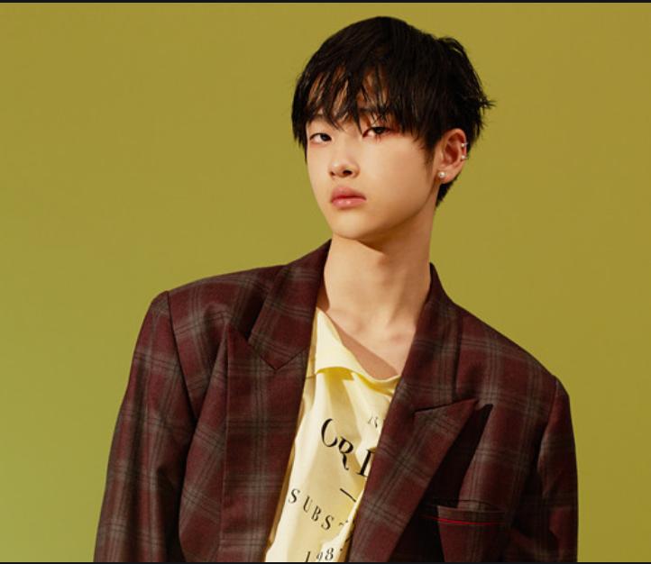 我们的歌2勤深深收视,我们的歌2阵容官宣