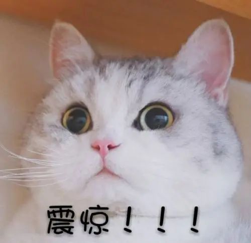 海外留学生被“公安”“检察院”诈骗？！微博求助后检察官这样做......