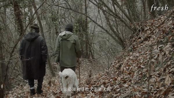 fresh白松露面膜吐槽,fresh面膜199