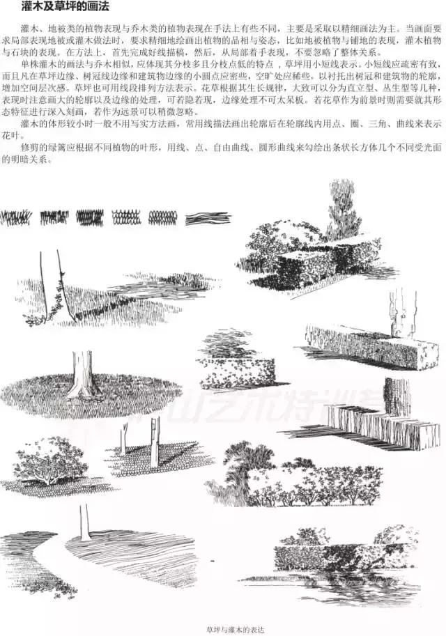 画画入门教程动漫人物0基础手绘,手绘基础入门教程手绘图片