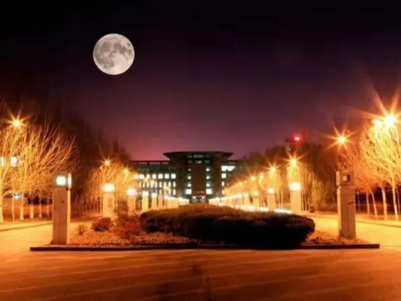 沈阳理工大学辽宁工程技术大学,沈阳理工大学专科院校