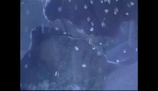 《神雕侠侣》七个不同版小龙女遭人玷污，李若彤版看完想砸了手机