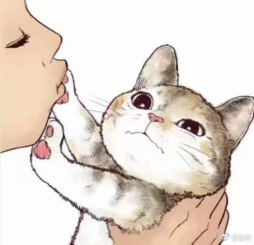 喵星人漫画推荐,绘画漫画喵星人