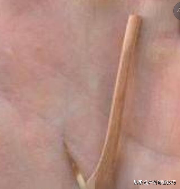 6-12岁自制鱼钩的方法,荒野求生野外自制鱼钩简单的方法