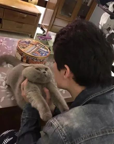 铲屎官请自重图,铲屎官请自重