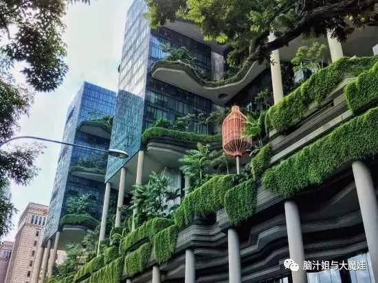 新加坡马来西亚泰国旅游攻略,新加坡马来西亚四日游攻略