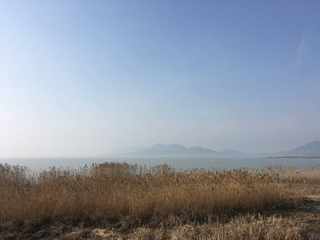 苏州西山红叶最佳观赏期,苏州西山小众打卡地