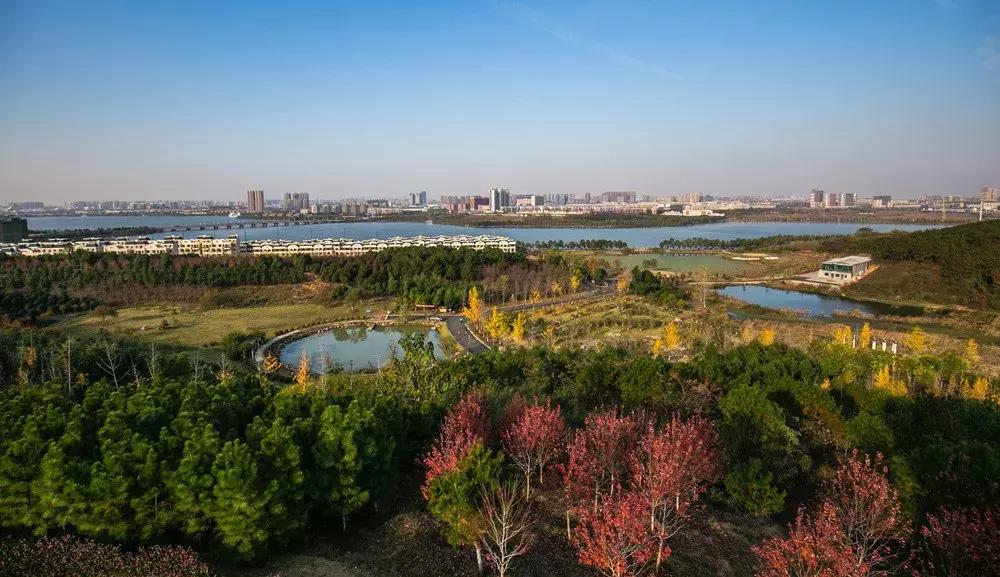 军运村为什么选址江夏,军运村为什么选在黄家湖