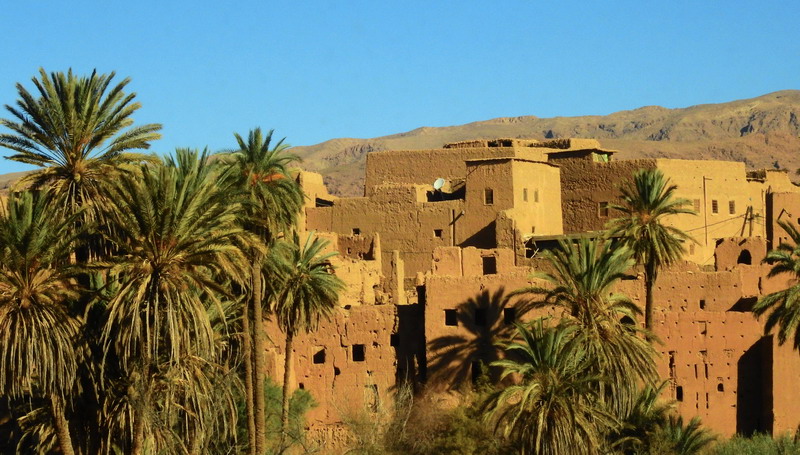 撒哈拉沙尘暴照片,撒哈拉沙漠沙尘暴实拍