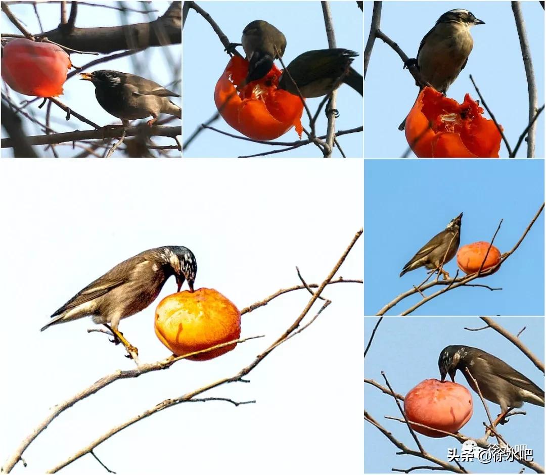 「徐水映像」换个角度看保定徐水,美