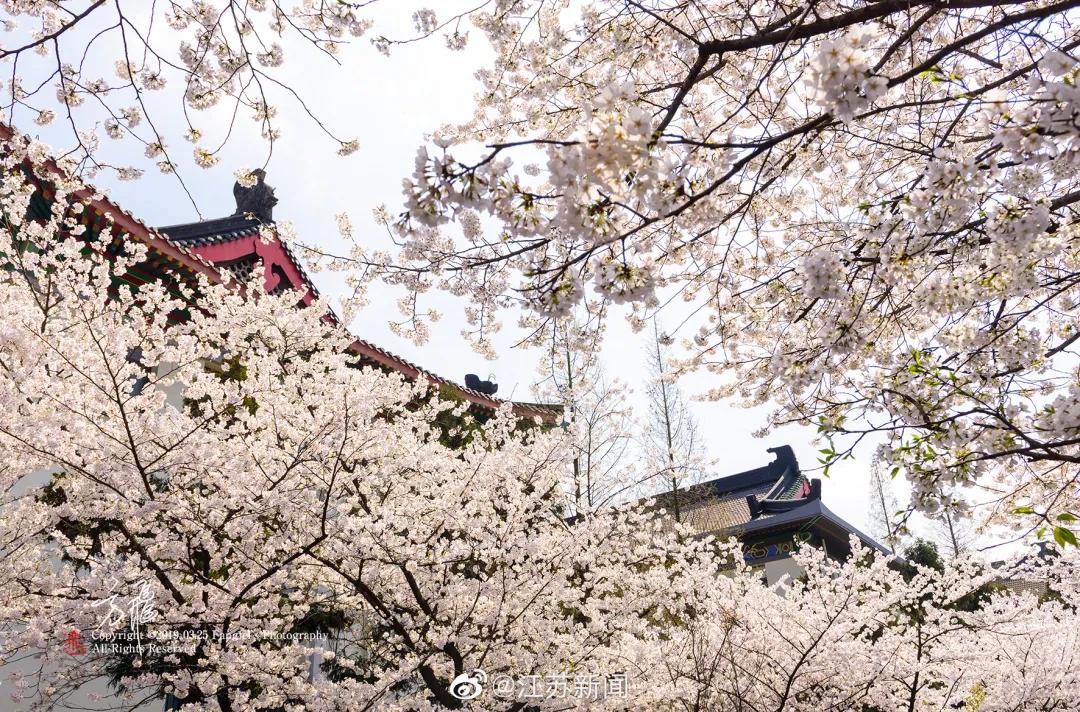 疫情防控取得阶段性胜利有序恢复,疫情胜利在望