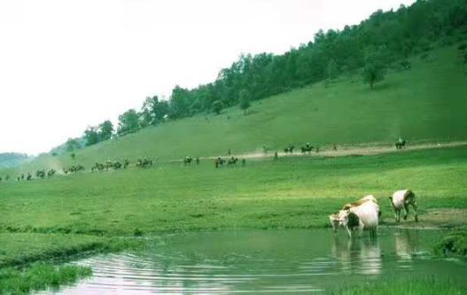 大巴山深山老林,大巴山隐居生活